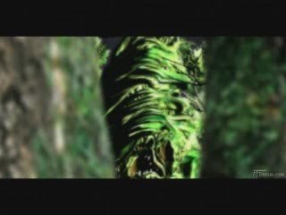 FFV - Carmina Burana - O Fortuna