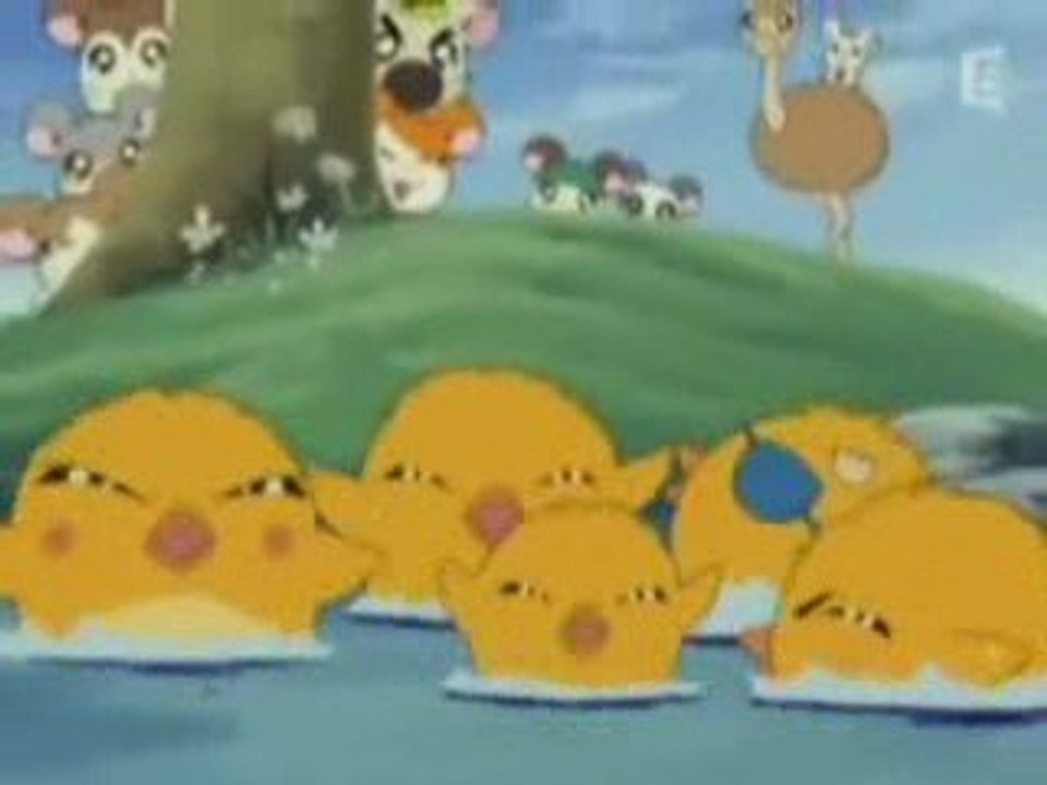 Opening Hamtaro Français Saison 3