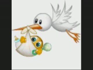 LE 2ème petit TAZ le 16 février 2009 (02)