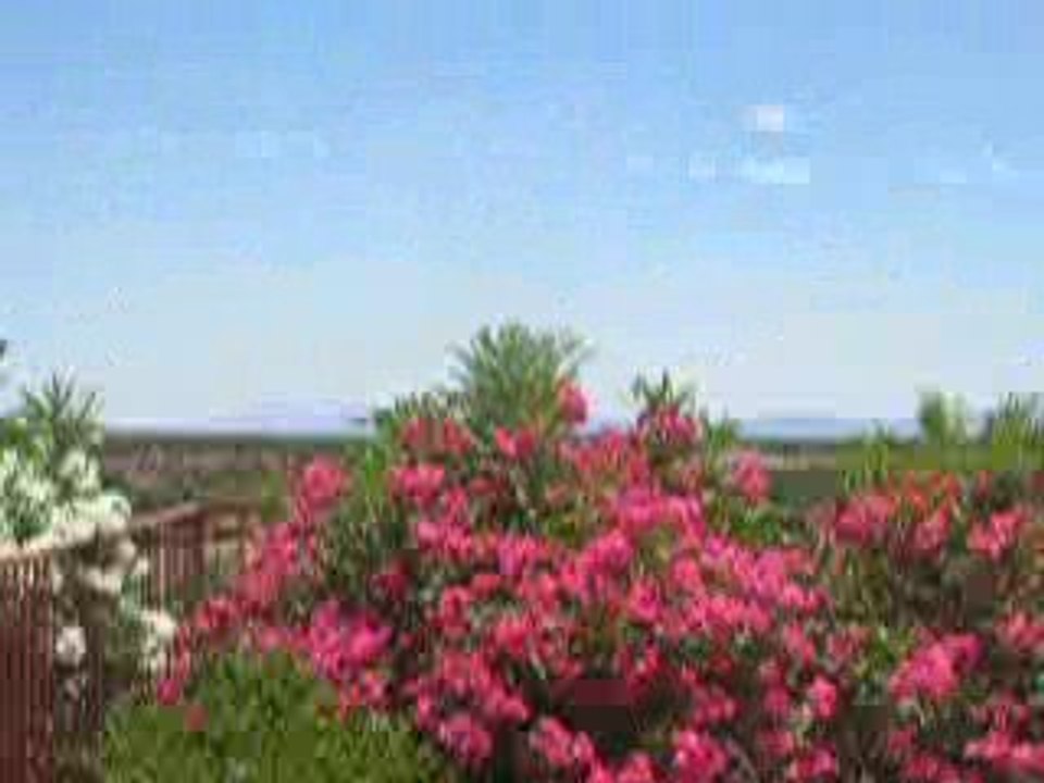 Setting goals works! Here's my personal testimony to that...