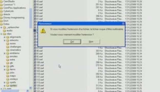 dofus transformation