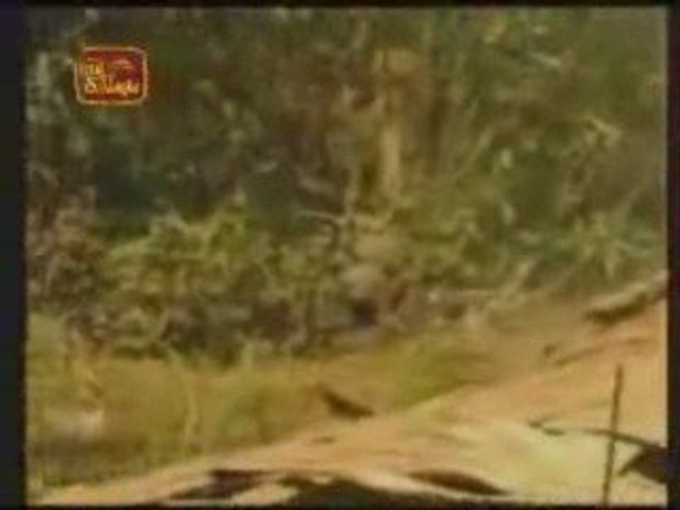 Wanni Operation-Final Count Down  05-03-2009