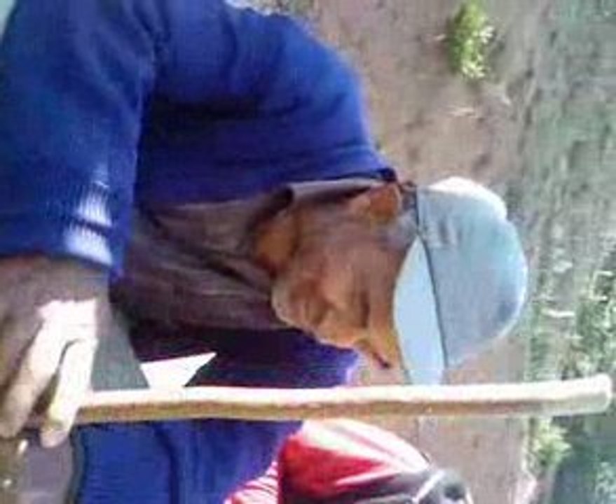 Mahmut amca