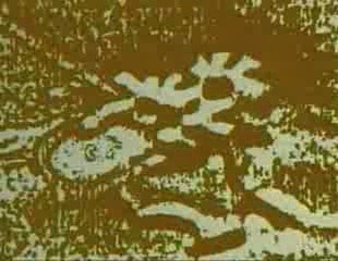 Are We Alone  - Zecharia Sitchin Pt4