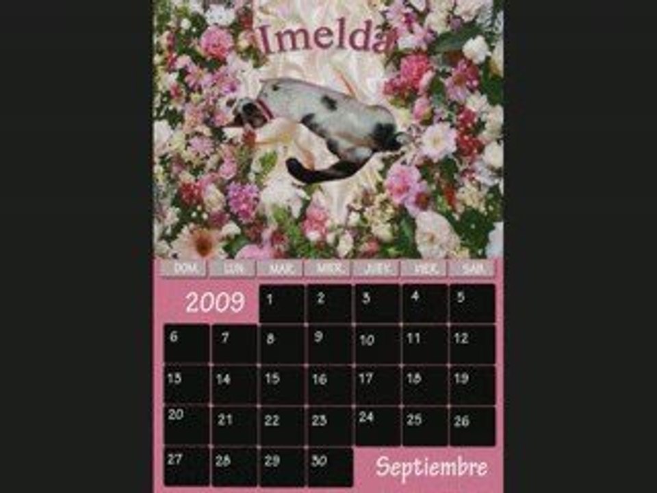 calendario playcat 2009