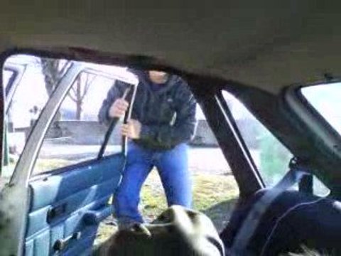 L ours jean-fé fait chier son monde