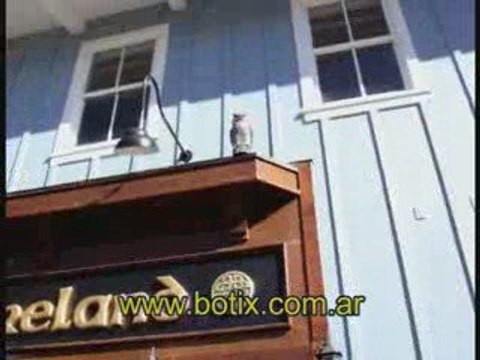 botix.com.ar ahuyenta pajaros con buhos