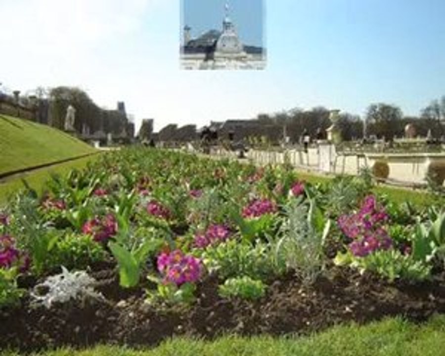 Arrivé du printemps au jardin du Luxembourg