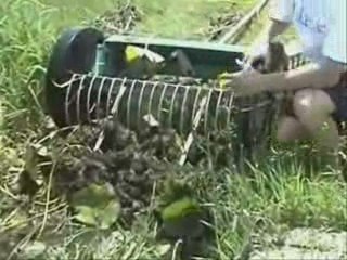 REMOVE LEAVES IN POND or RAKE LEAVES IN A LAKE