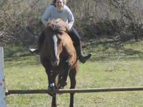 Lazzy, saut en liberté.