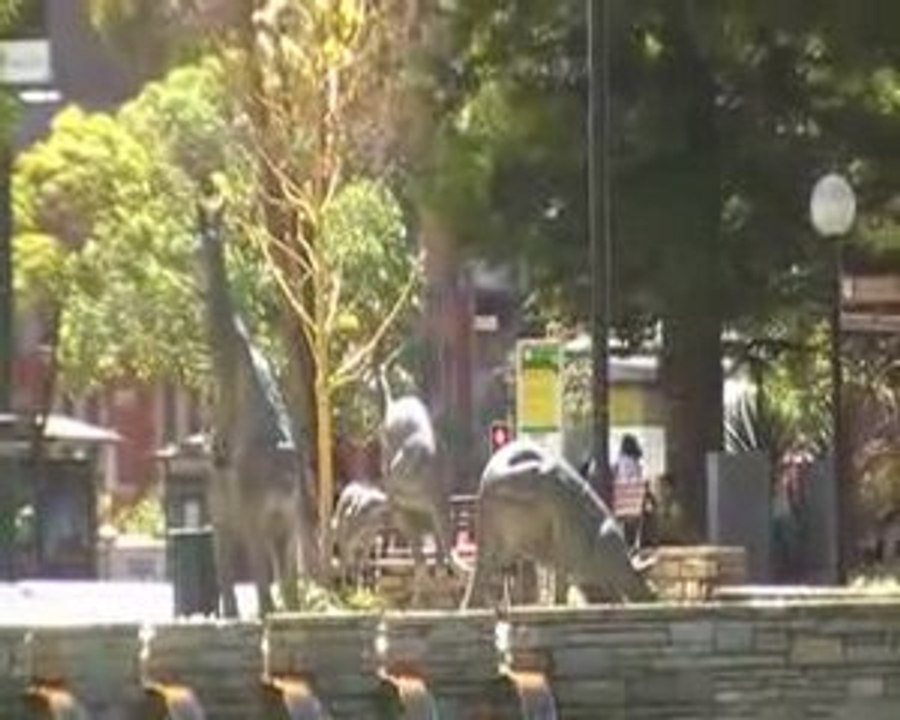 Perth city