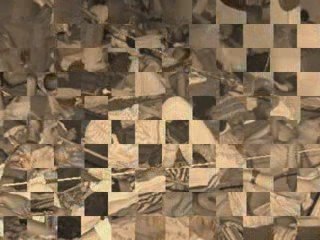 Des prisoniers marocains dans des boites de sardine