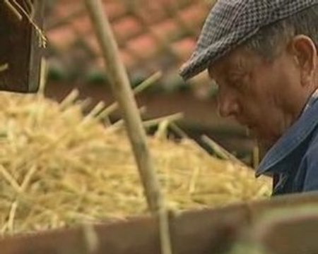 CAMILLE et les souvenirs d'antan