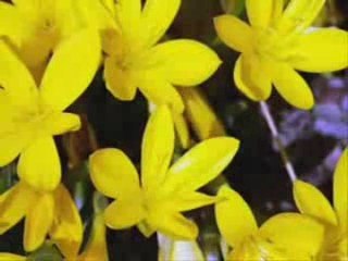 Ömer köroglu(ANLADIM)