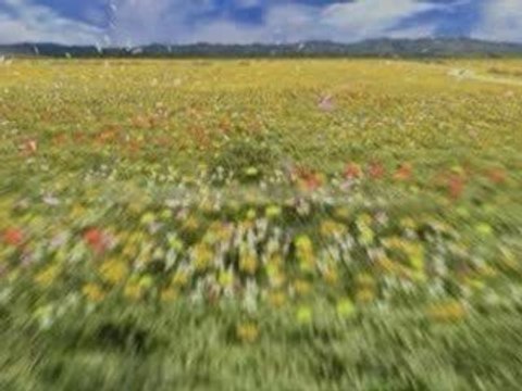 AMV Final Fantasy VIII - Last Word