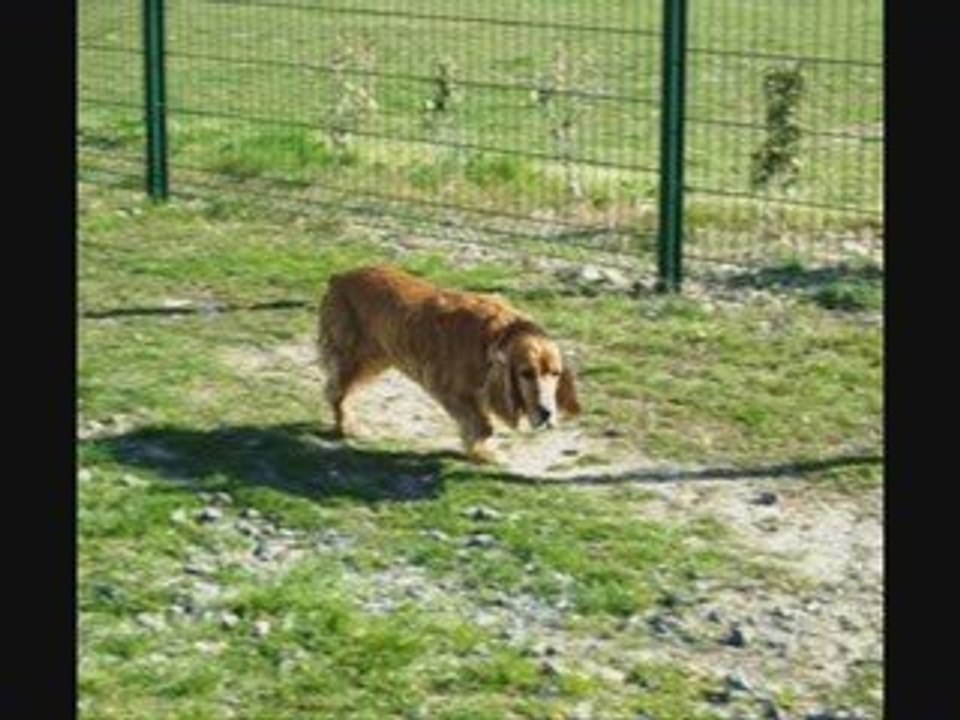 Un après midi au club