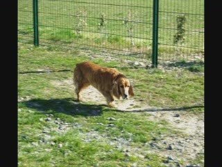 Un après midi au club