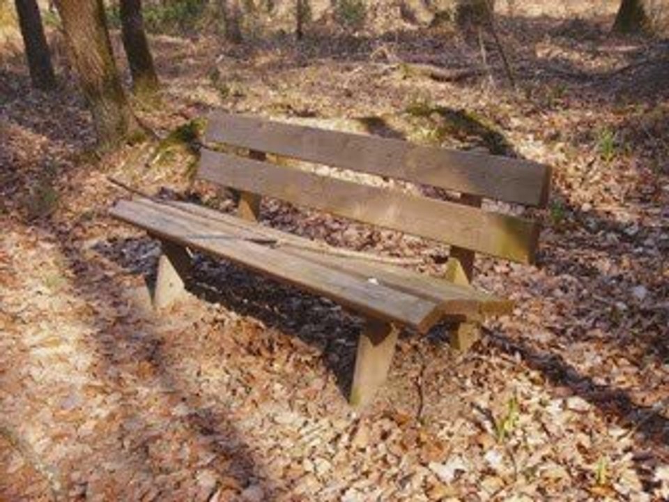 Sinsémilia - Je préfère cent fois