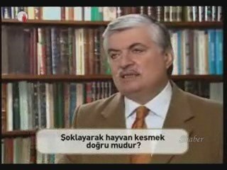 Hayvanı şoklayarak kesmek caiz mi