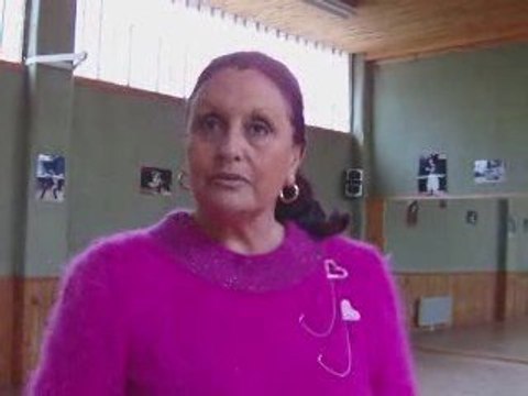 Gala Danses du Monde à Saint-Rémy - 1 - crieur.info