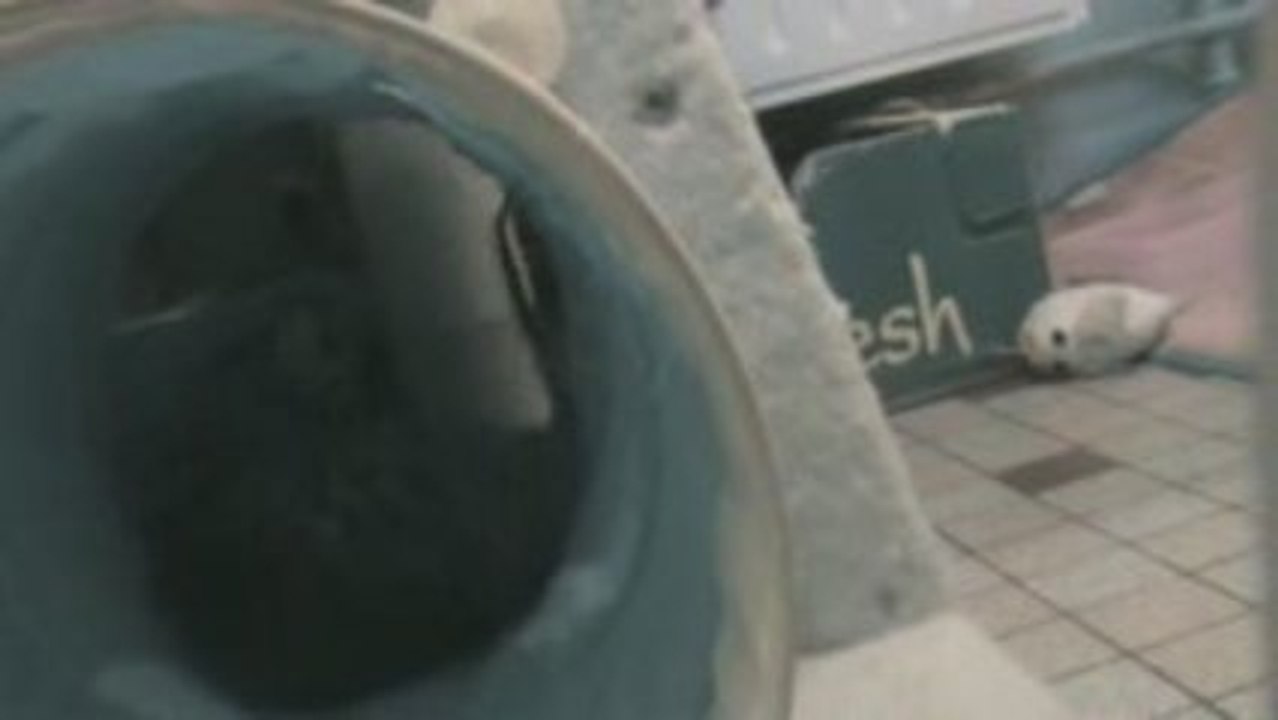 moi mes frères & mes soeurs part 4/4