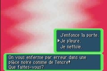 W.T 1 pokemon donjon mystere 1