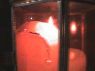 Carnes Tolendas 2009