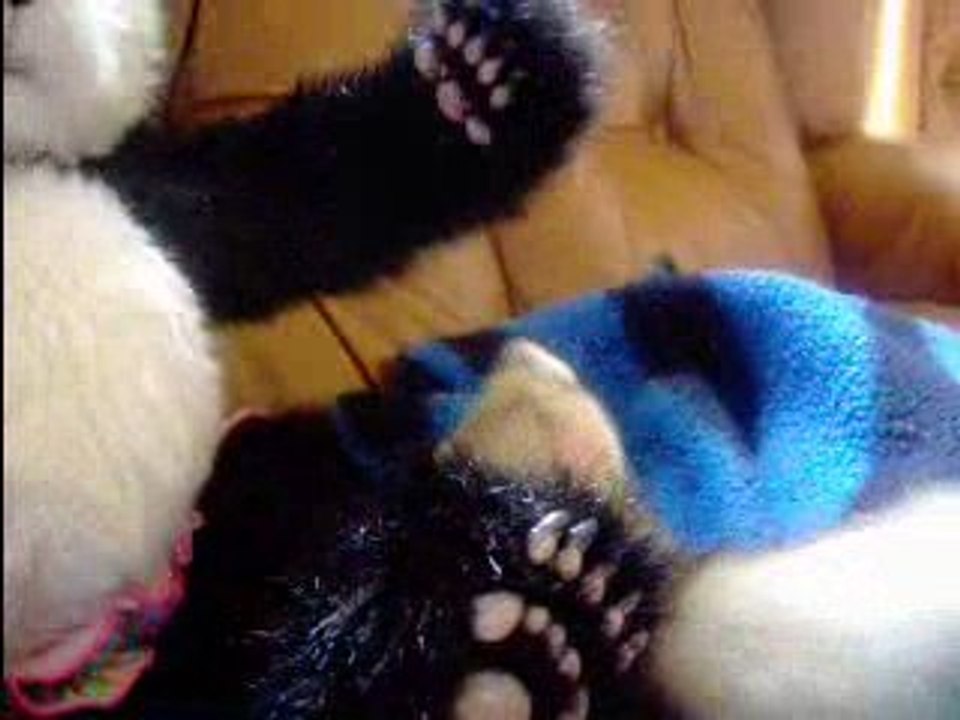 LE FUFU ET LE PANDA_003