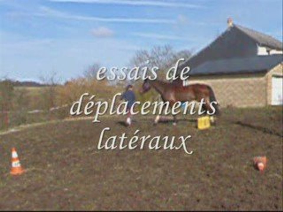 Iago 5 mars séance etho