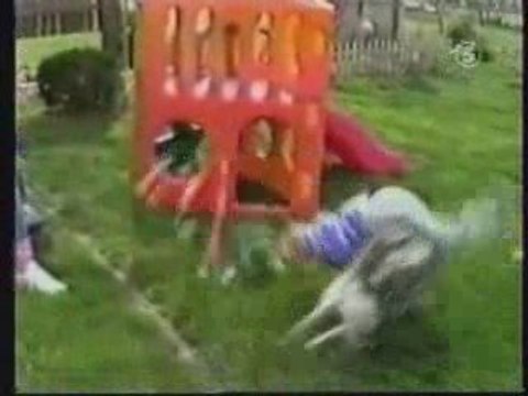Release the hounds!