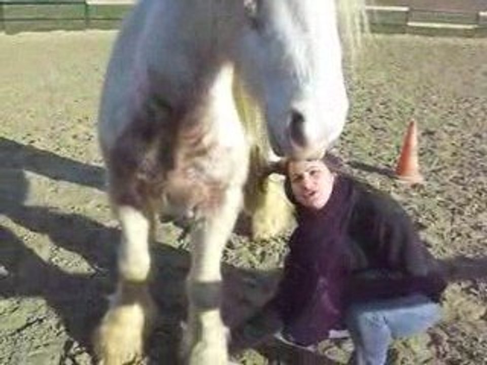 Flann apprécie les gratouilles