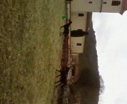 Black Furie et Playmate 1m20 liberté 04/03/09