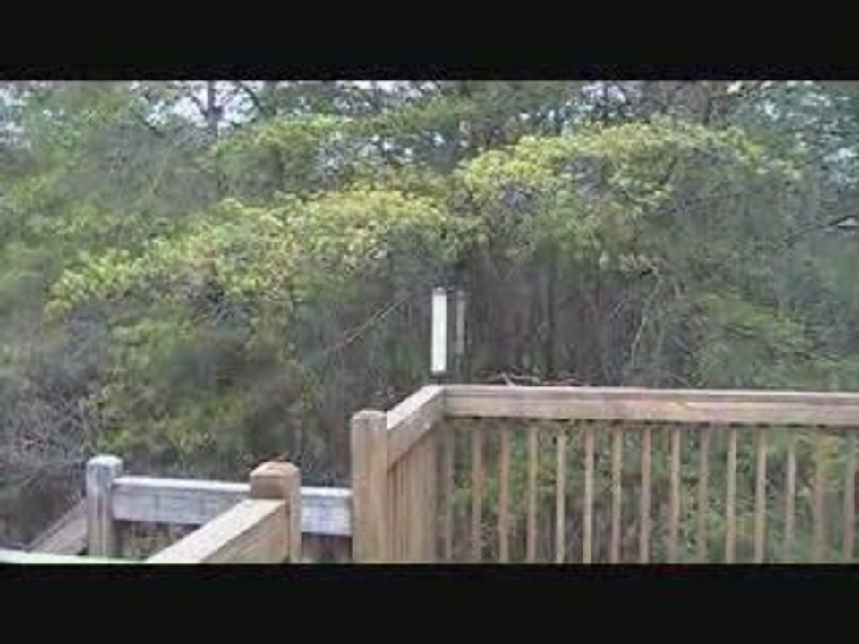 Home For Sale in Adairsville Georgia Asher Realty www.ash...