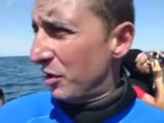 Meet the Great(small) White(Blue) Shark Day 7