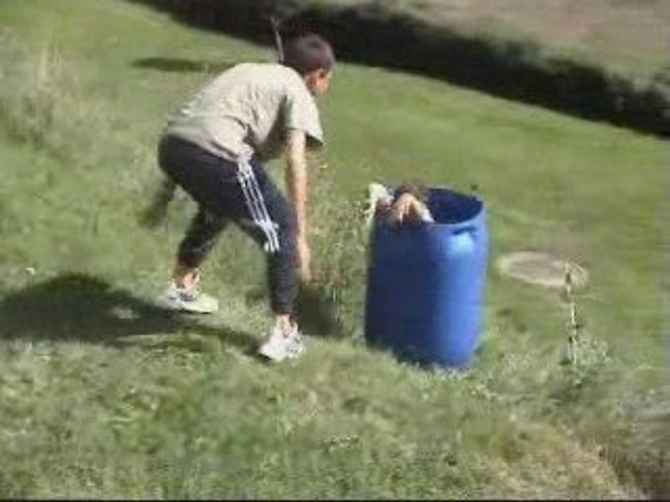 conneries antiviolences