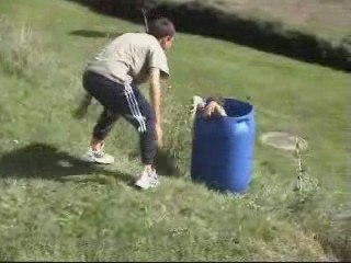 conneries antiviolences