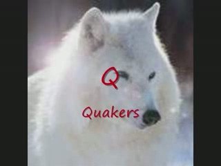 ABCdaire de The_Wolfen