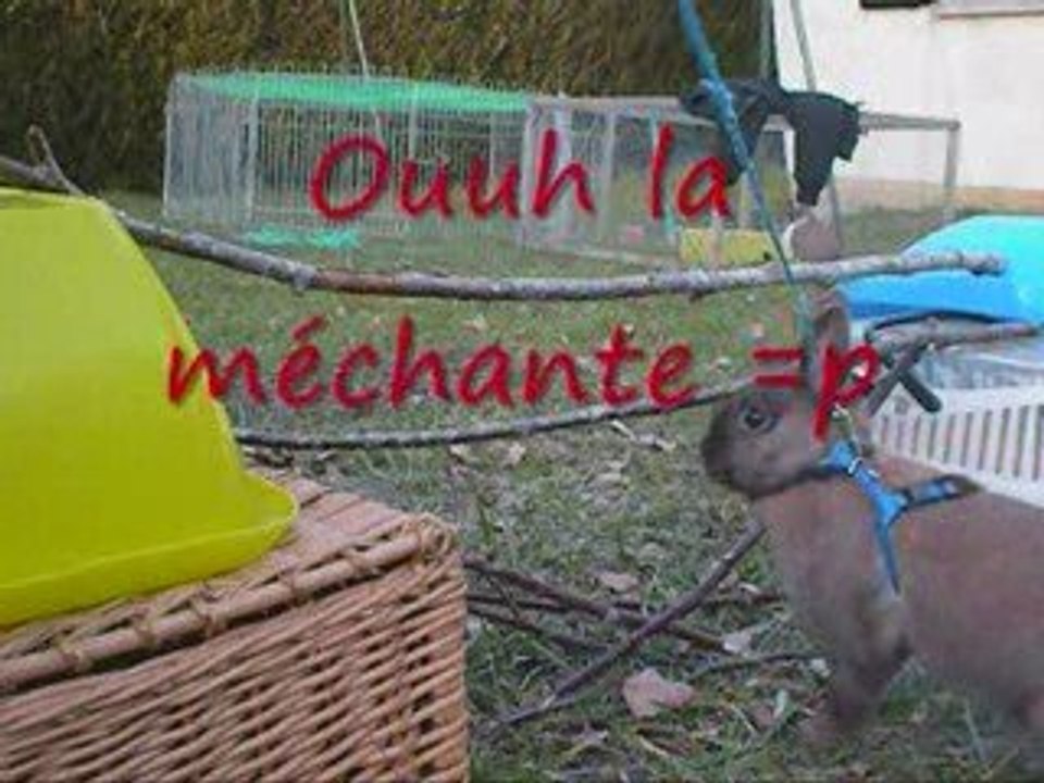 6 mars 2oo9