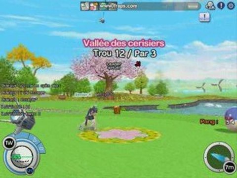 Video pangya mdr entre amis !