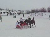 Attelage sur neige à Québec (Février 2009)