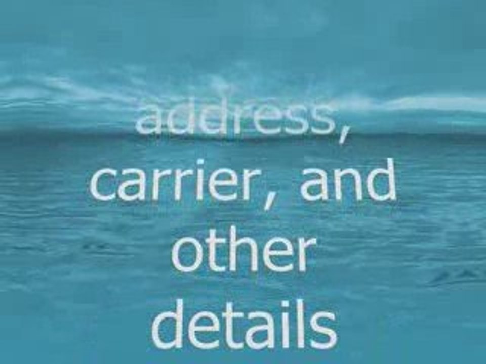 Reverse Phone Detective