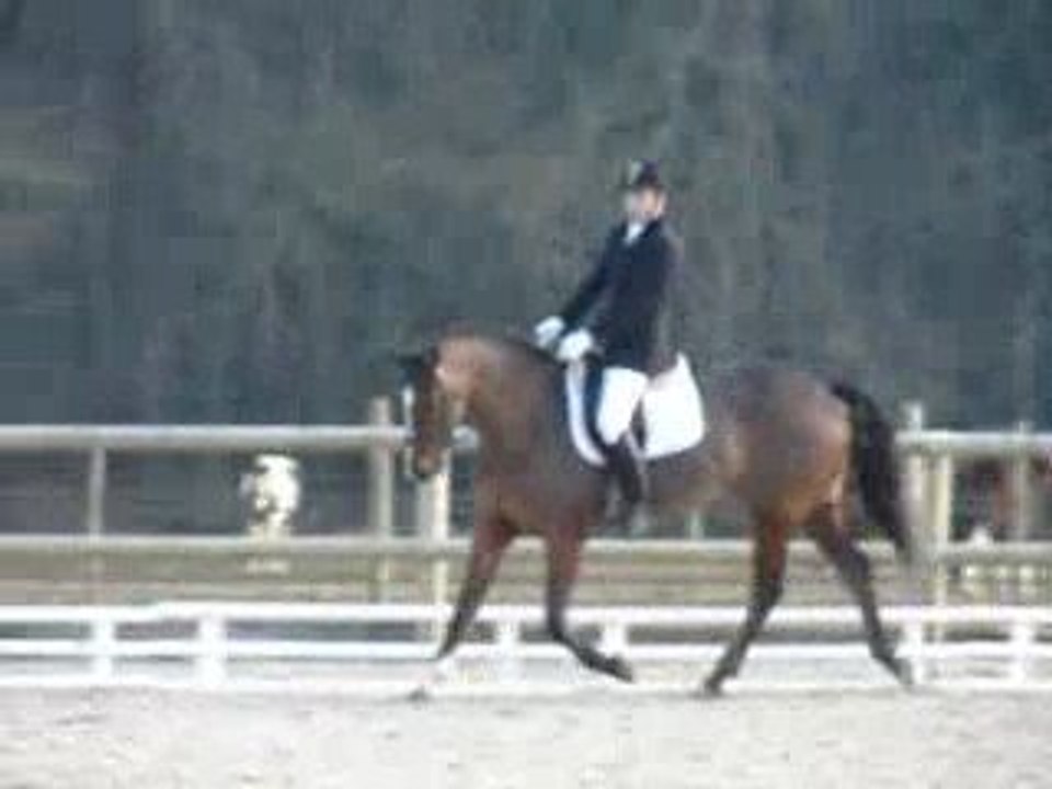 D4 à Thorigné Fouillard le 21 février 2009 Nicolas Orphée