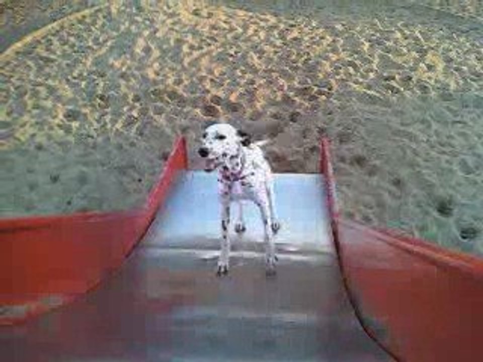 Le toboggan et Dixie