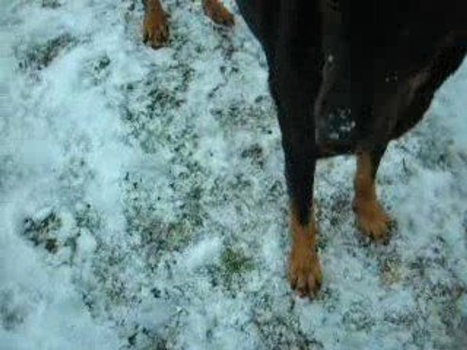 comment le nourrissage se fait...