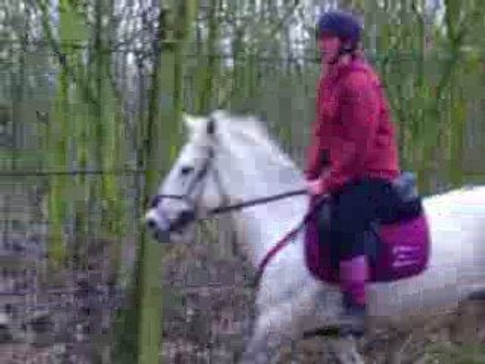Moi et Mon pouney a Vincennes