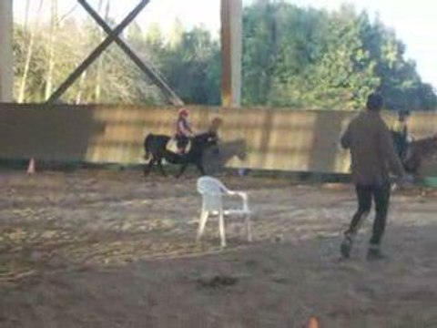 premieres lecons d'équitation en septembre 08