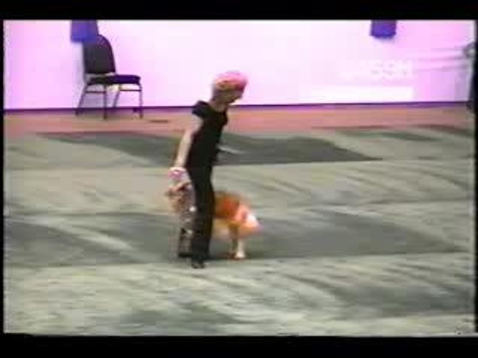 Chien danse !