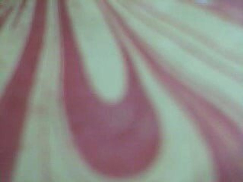 Accapella lemon tree