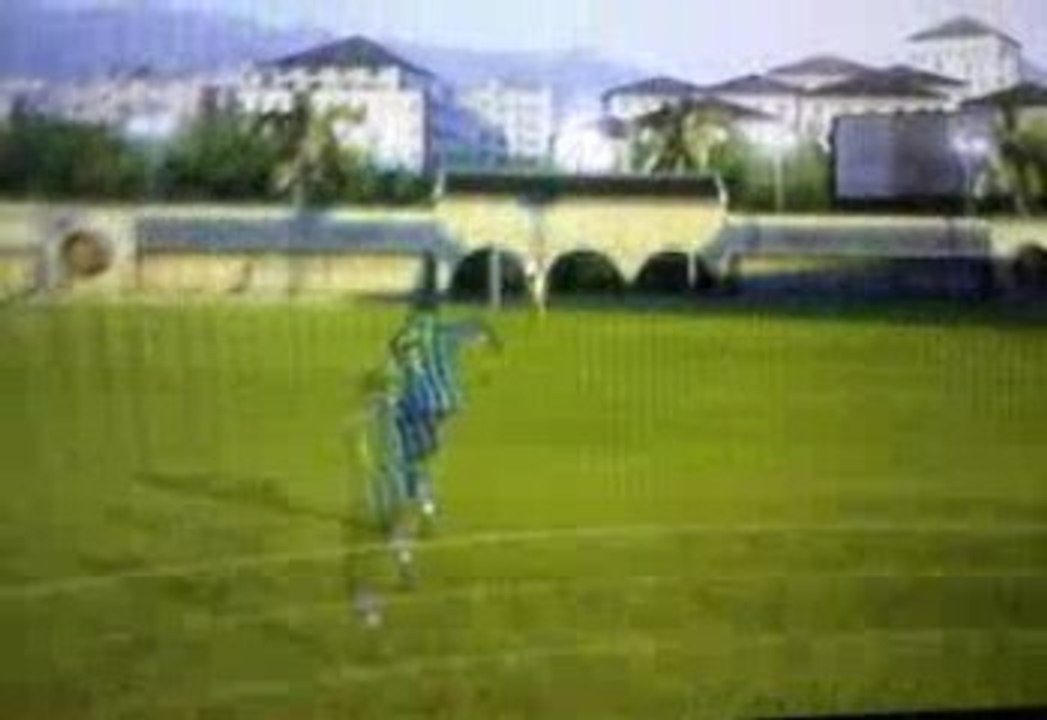 ibrahimovich 40m