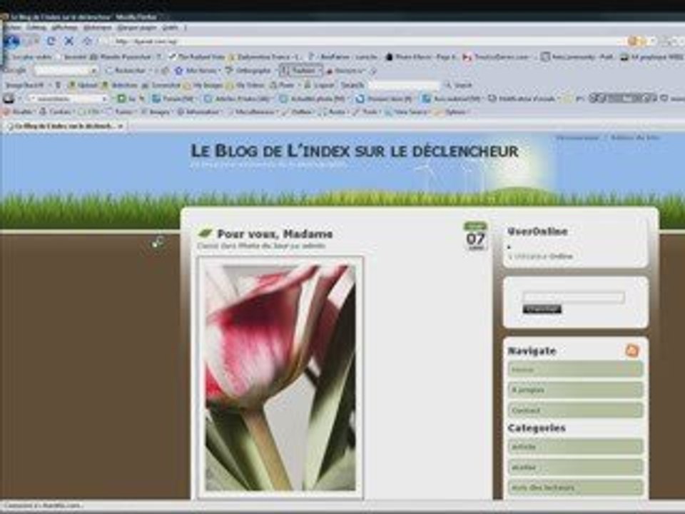 Présentation du site